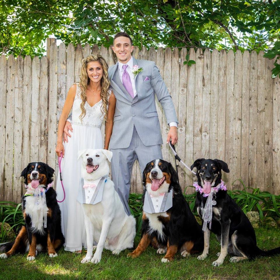 Max & Megan with their 4 dogs on their wedding day