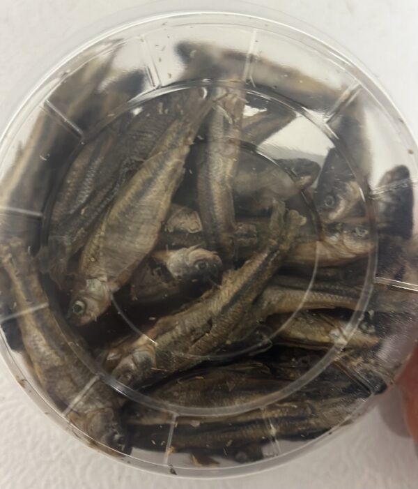 Dehydrated Minnows - Image 2